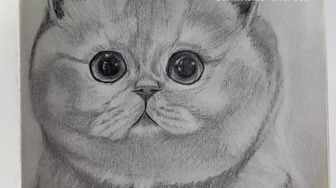 Things I Drew this Week